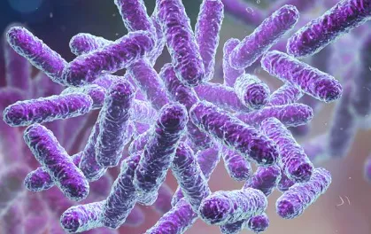 BiomX Announces Successful Initiation of Phase 2b Trial with First Patient Dosed in BX004 Program in Patients with Cystic Fibrosis
