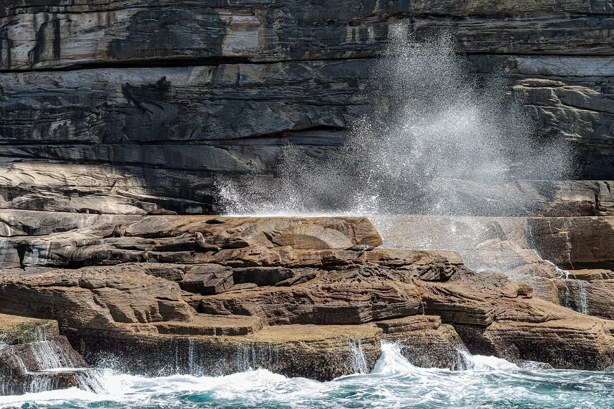 ocean waves coast