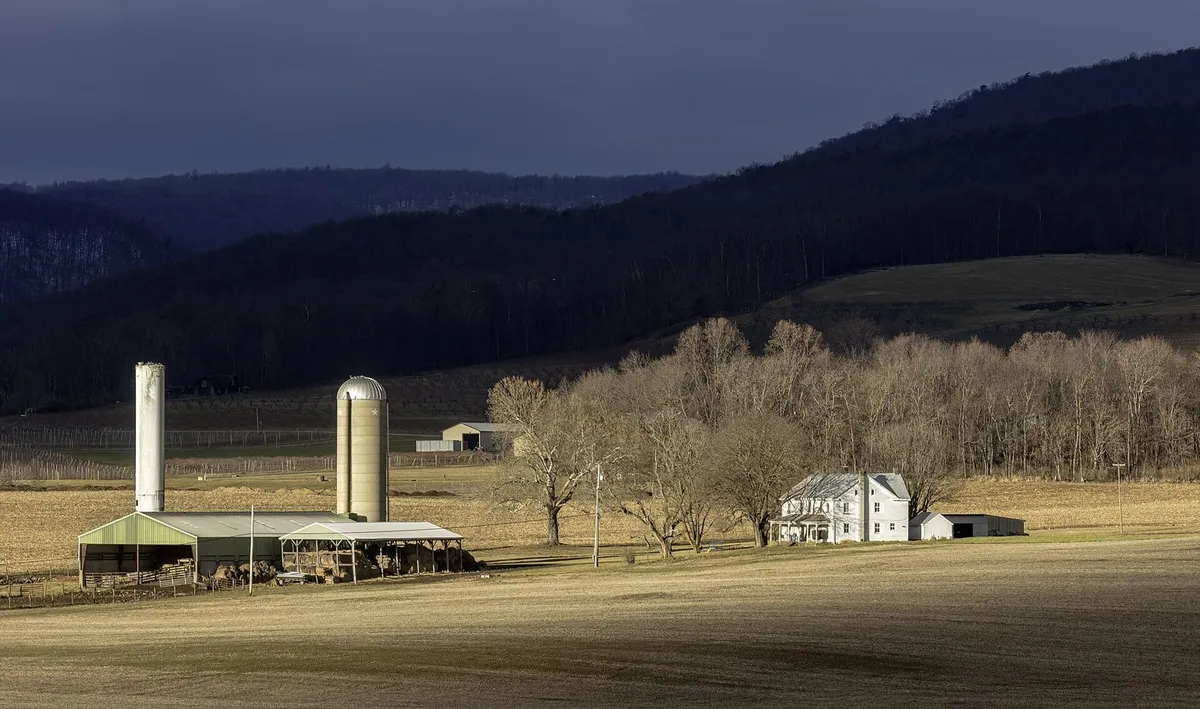 biochar soil farm