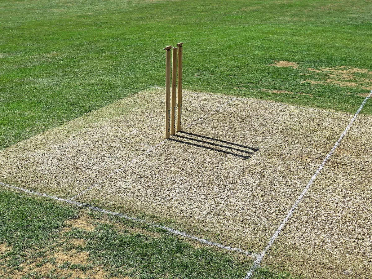 cricket bat ball pitch