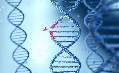 Silexion Therapeutics Seeks to Address the Most Common Oncogenic Driver in Human Cancers