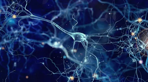 Breakthrough MicroRNA Data Strengthens NeuroSense’s Revolutionary ALS Treatment Potential