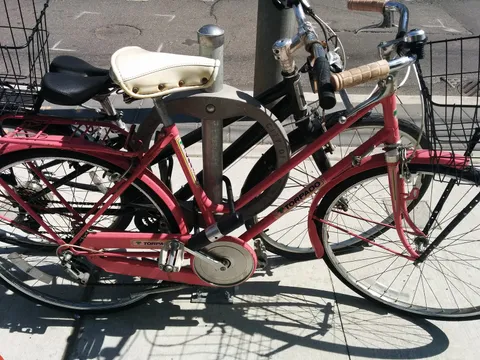 Stolen Bikes: A Citywide Crisis and the Rise of Vigilante Reclaimers