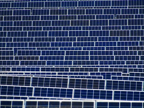 AZX: Pioneering Customized AI Solutions for a Sustainable Future