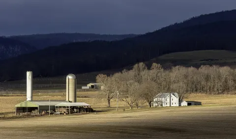 Qualterra Secures $4.5 Million to Revolutionize Sustainable Farming with Biochar Technology