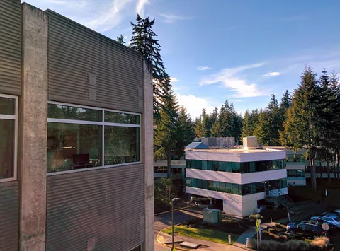 Shifting Sands: Leadership Transitions Shake Up Microsoft and Key Players in Tech