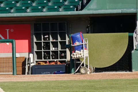 Innovative Torpedo Bats Show No Significant Edge Over Traditional Designs, WSU Study Reveals